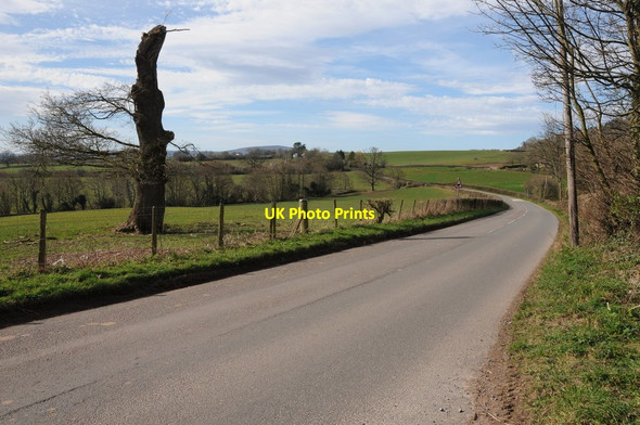 Photo 6"x4" Road to Llanddewi Skirrid Llanddewi Skirrid c2014 P1