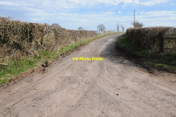 Photo 6"x4" Road to Manor Farm Llanvapley c2014