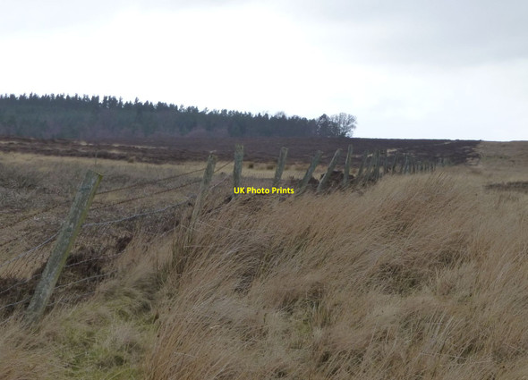 Photo 6"x4" Dilapidated fence running across Beanley Moor Titlington c2014