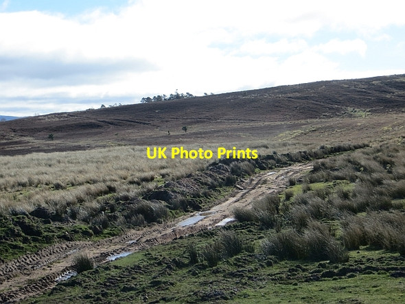Photo 6"x4" Moorland track Bairnkine c2014