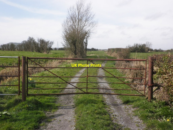 Photo 6"x4" Track to Rooks Bridge Tarnock c2014