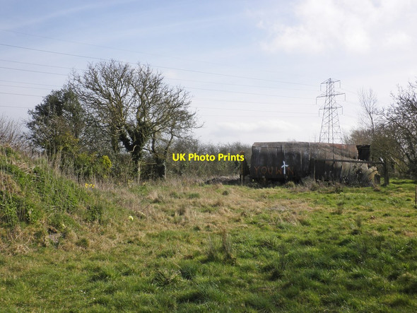 Photo 6"x4" Remains of Pilrow Farm Vole c2014