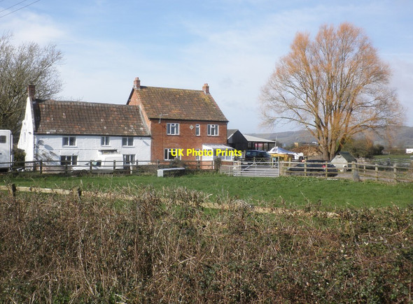 Photo 6"x4" Pear Tree Farm Edingworth c2014