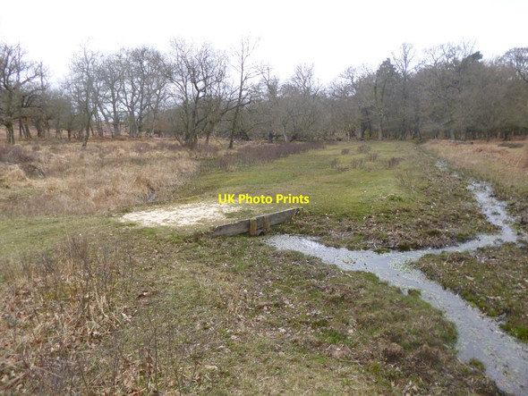 Photo 6"x4" Bratley, bridge Bratley Inclosure c2014