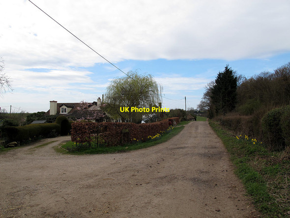 Photo 6"x4" Entrance to Woodyers Farm Claverhambury c2014