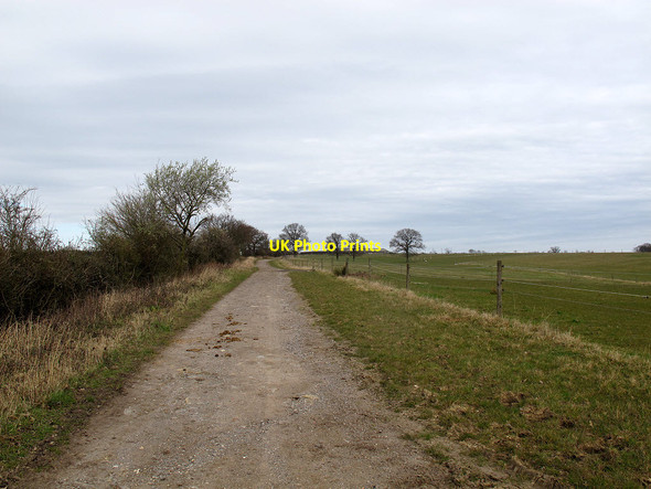 Photo 6"x4" Bridleway north from Claverhambury Claverhambury c2014