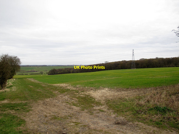 Photo 6"x4" Field with pylon Nazeing Gate c2014