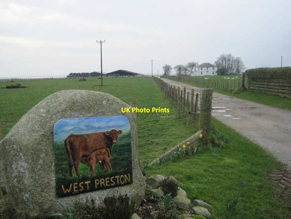 Photo 6"x4" West Preston Farm East Preston\/NX9656 c2014