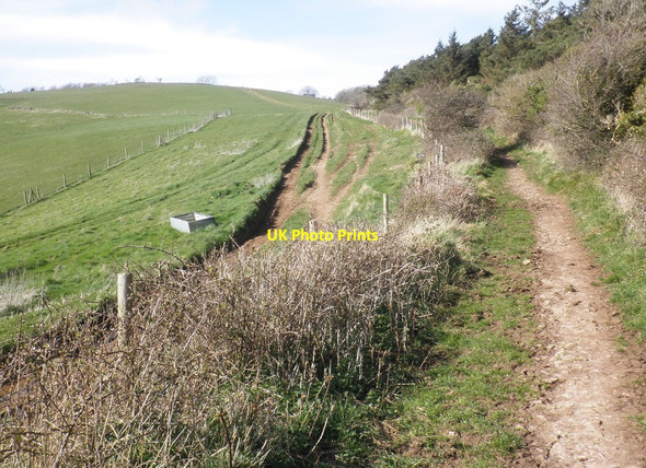 Photo 6"x4" Bridleway on Loxton Hill Christon c2014