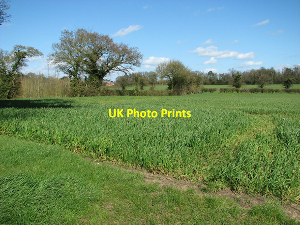 Photo 6"x4" Fields near Hethersett Hethersett c2014
