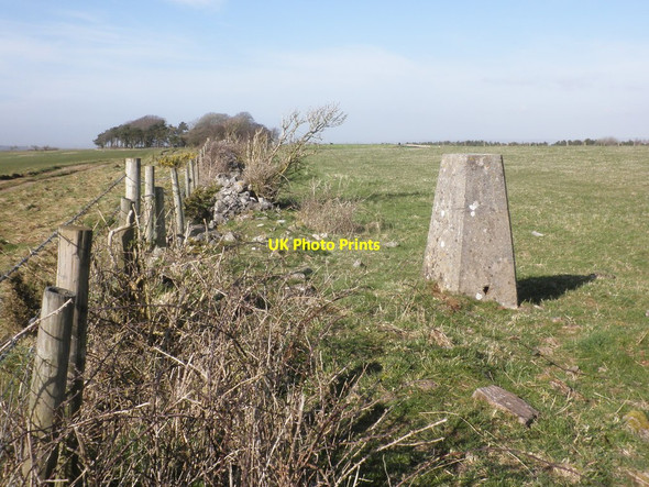 Photo 6"x4" Trig point on Loxton Hill Christon c2014