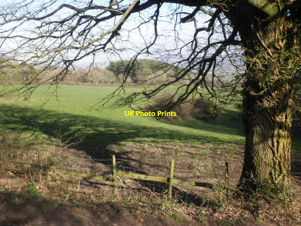 Photo 6"x4" View from Christon Hill Christon c2014