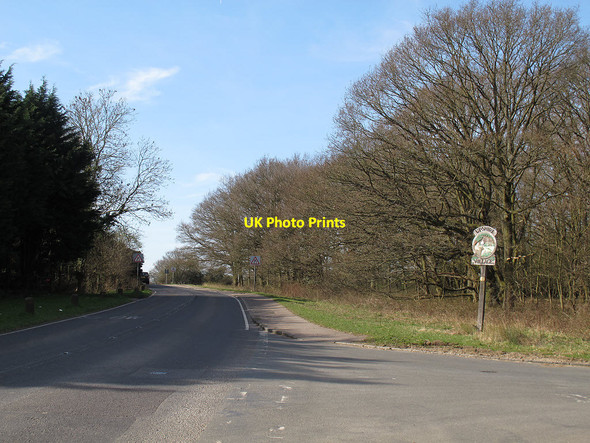 Photo 6"x4" The road through Upshire Copthall Green c2014