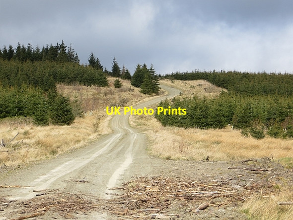 Photo 6"x4" Wardmoor Hill Southdean c2014