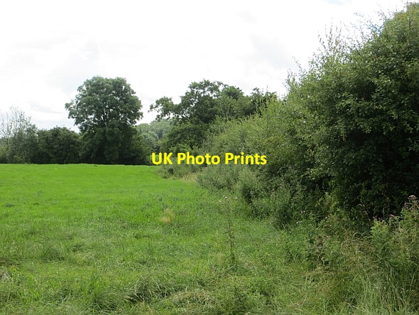 Photo 6"x4" Grassland near Kilrea Bovedy c2013
