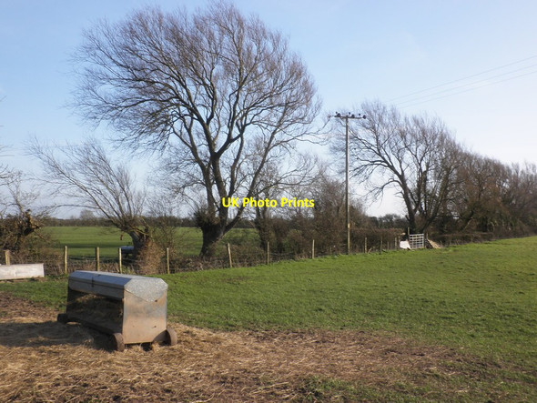 Photo 6"x4" Fields near Shiplate Shiplate c2014