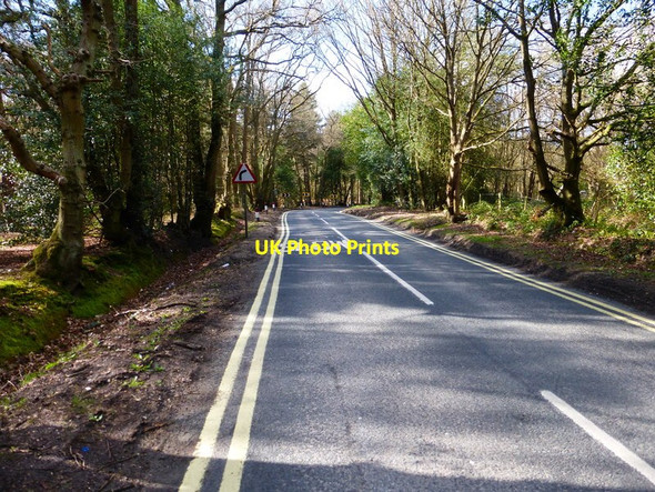 Photo 6"x4" The more northern sharp bend on Kennels Lane Southwood\/SU8455 c2014