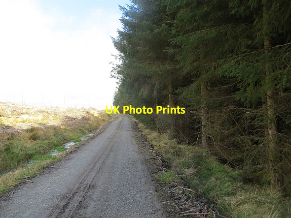 Photo 6"x4" Road, Wauchope Forest Jedhead c2014