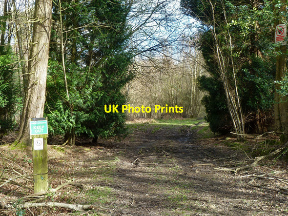 Photo 6"x4" Private turning off Standinghall Lane Worth\/TQ3036 c2014