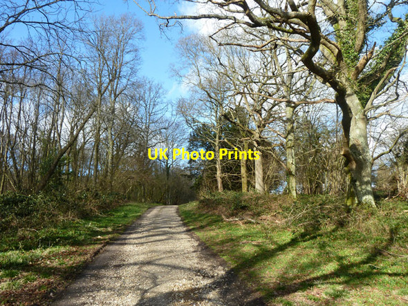 Photo 6"x4" Standinghall Lane Worth Abbey c2014