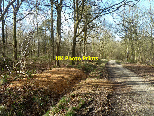 Photo 6"x4" Standinghall Lane Worth Abbey c2014