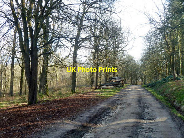 Photo 6"x4" Standinghall Lane Worth Abbey c2014