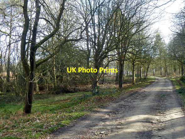 Photo 6"x4" Standinghall Lane Worth Abbey c2014 P2