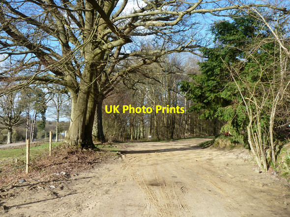Photo 6"x4" Footpath 83W enters Worthlodge Forest Maidenbower c2014