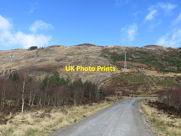 Photo 6"x4" Logging road, Loch Ard Forest Loch Dubh\/NN4003 c2014