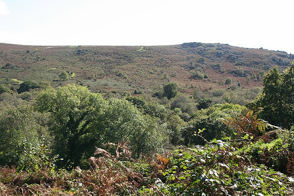 Photo 6"x4" Ilsington: Smallacombe Rocks Water\/SX7580 c2008