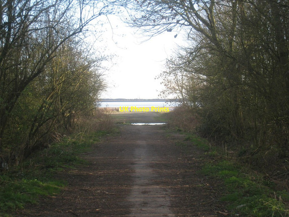 Photo 6"x4" A glimpse of the Humber North Ferriby c2014