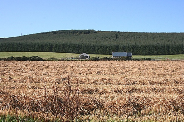 Photo 6"x4" Hill of Foundland Largie\/NJ6131 c2008