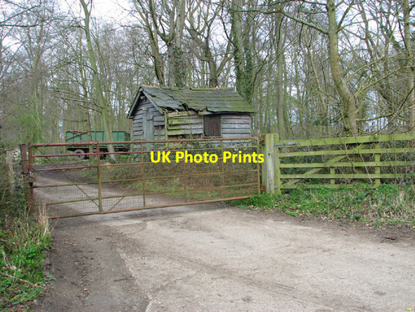Photo 6"x4" Hut at the entrance to woodyard in Beech Wood Earsham c2014