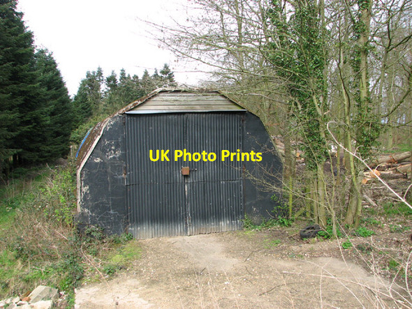 Photo 6"x4" Handcraft hut in Beech Wood Earsham c2014