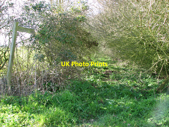 Photo 6"x4" Footpath off Middle Road Denton\/TM2788 c2014