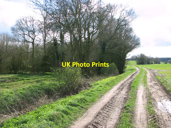 Photo 6"x4" Farm track past Reeden's Spinney Denton\/TM2788 c2014
