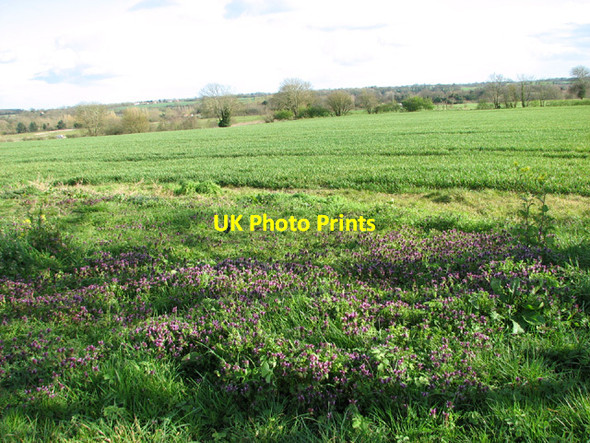 Photo 6"x4" Fields by Wortwell Alburgh c2014