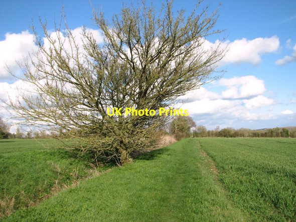 Photo 6"x4" Ditch beside the path to Holbrook Hill Alburgh c2014