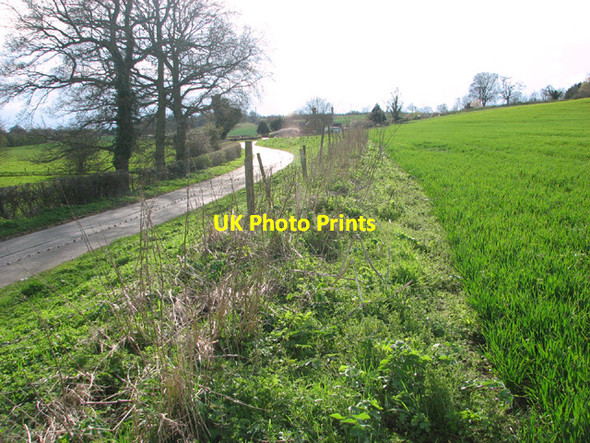Photo 6"x4" View along Low Road Alburgh c2014