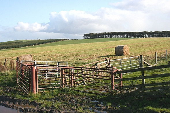Photo 6"x4" Upper Scotstown Largie\/NJ6131 c2008