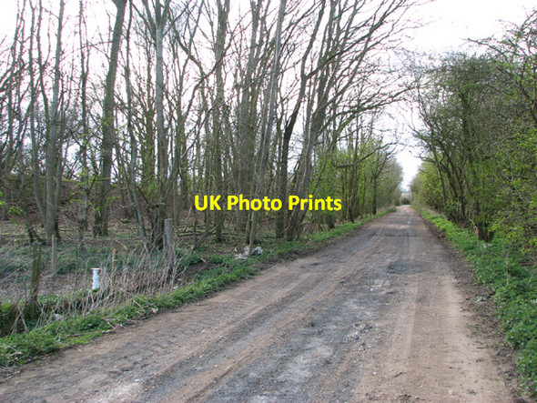 Photo 6"x4" Track off Back Lane Homersfield c2014
