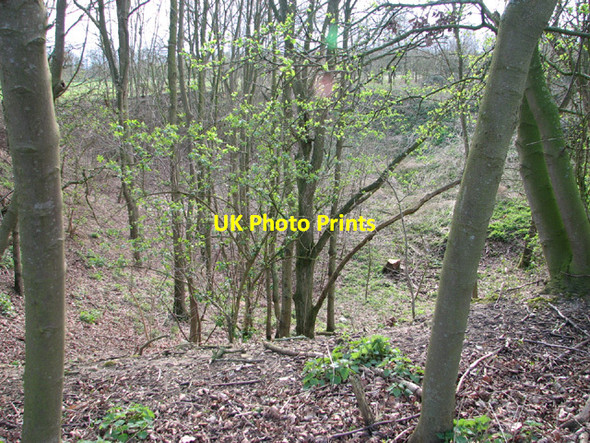 Photo 6"x4" Disused pit Homersfield c2014