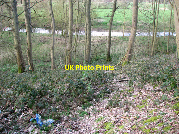 Photo 6"x4" The River Waveney as seen from Long Plantation Flixton\/TM3186 c2014