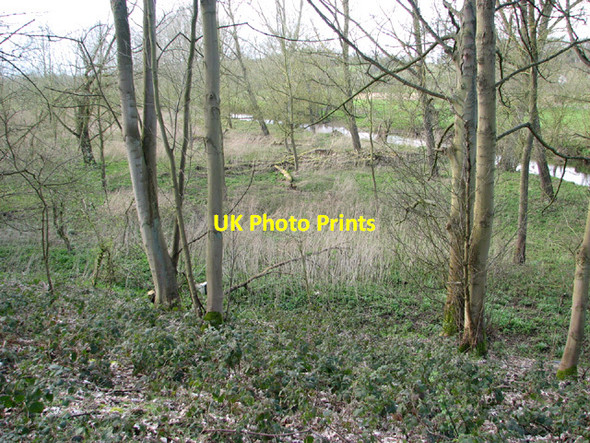 Photo 6"x4" View towards the River Waveney from Long Plantation Flixton\/TM3186 c2014