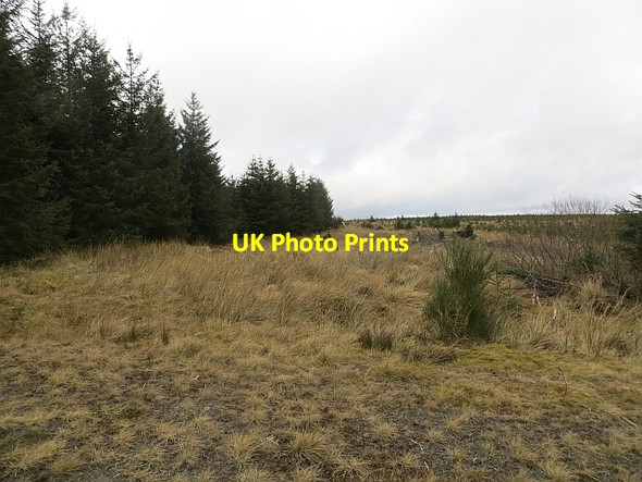 Photo 6"x4" Wheel Causeway Raven Burn c2014