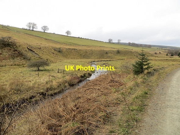 Photo 6"x4" Hyndlee Burn Brockie Law c2014 P1