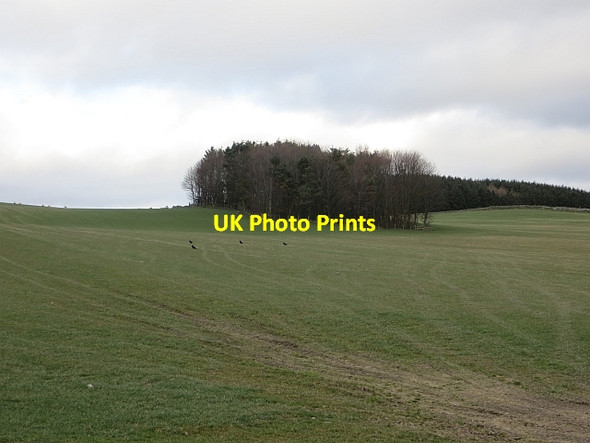 Photo 6"x4" Field, Doorpool Chesters\/NT6210 c2014