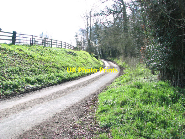 Photo 6"x4" View along Mendham Lane Homersfield c2014