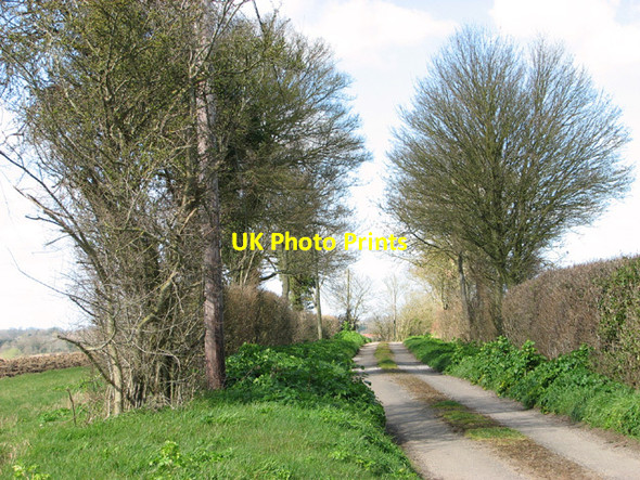 Photo 6"x4" Access road to Downs Farm Mendham c2014