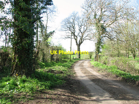 Photo 6"x4" View along Sconch Beck Road Mendham c2014